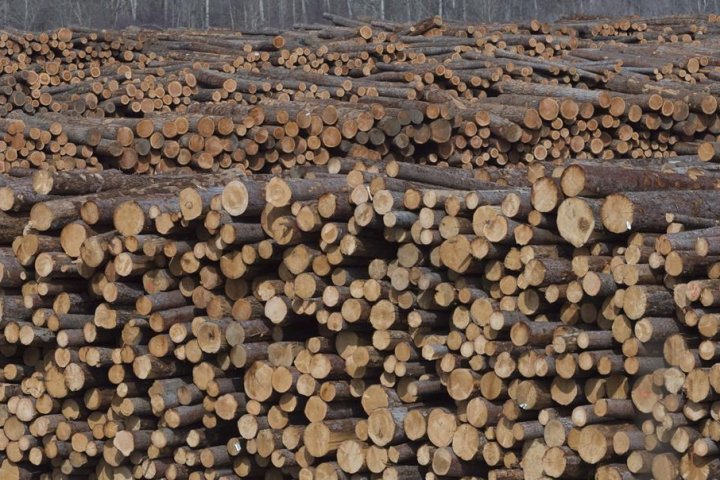 Continued U.S. duties on Canadian softwood lumber ‘unjustified,’ minister says