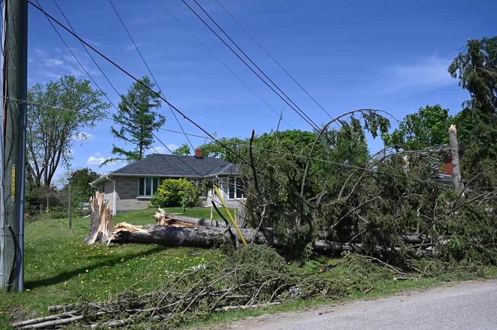Snapped trees and down power lines lay on the ground in Uxbridge, Ont., on Tuesday, May 24, 2022, after a major storm hit parts of Ontario on Saturday, May 21, 2022, leaving extensive damage.