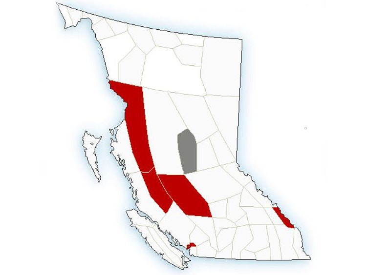 A screenshot showing weather alerts in red (Arctic outflow, extreme cold or wind warnings) and grey (air quality statement) in B.C. on Saturday, Dec. 3, 2022.