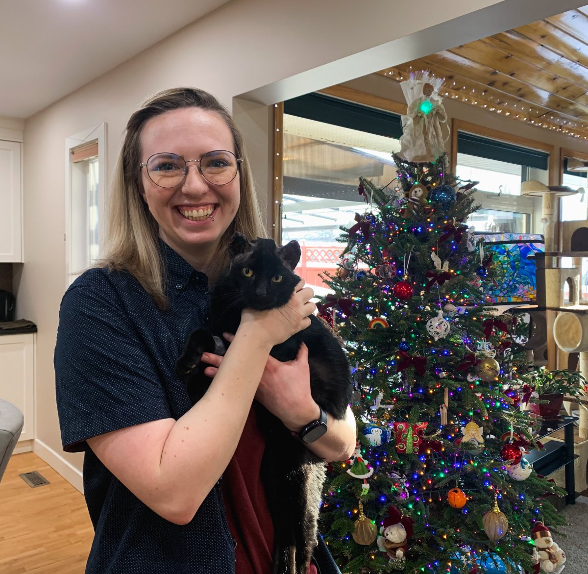 Frozen to the pavement Blaze the cat has 8 lives left after Regina