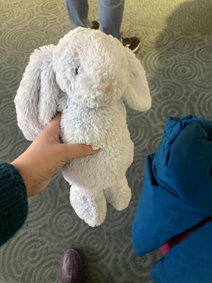 A stuffed rabbit is seen at the Vancouver International Airport in Richmond, B.C., in a Dec. 20, 2022, handout photo. The rabbit, which was found at Vancouver International Airport, is on its way home to its family staying in Edmonton for the holidays. 