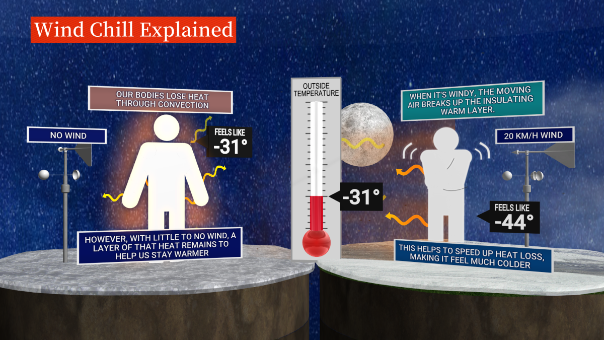 File: A graphic explaining how wind chill is calculated.