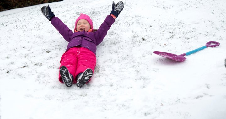 Fun winter activities people can enjoy in the Queen City – Regina | Globalnews.ca