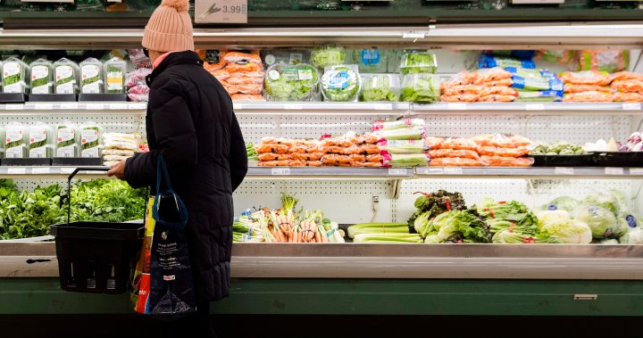Някои жители на Реджина се борят с пазаруването на храна въпреки Доклада за цените на храните