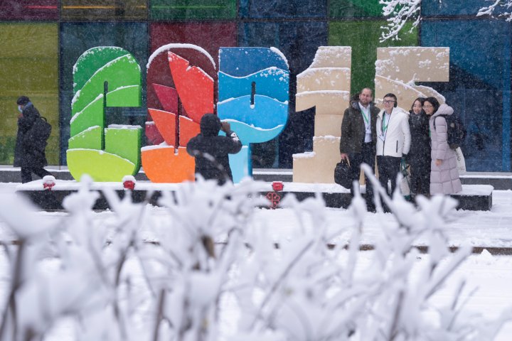 COP15: Deadline nears for nature negotiations but disagreements remain