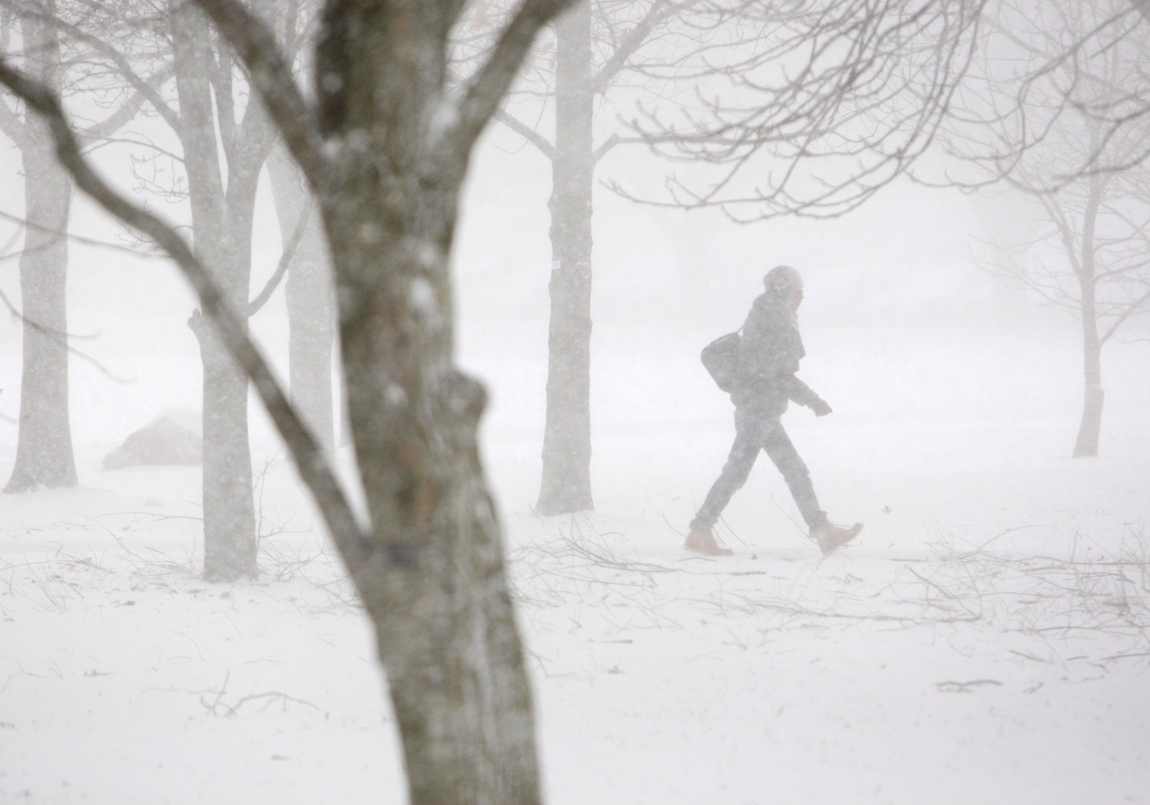 ‘Near blizzard conditions’: Ontario braces for more lake-effect snow squalls