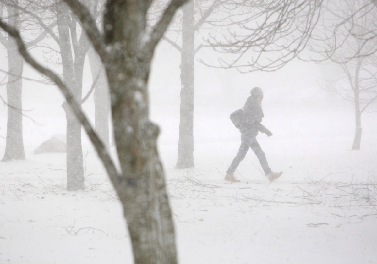 A student walks in the blowing snow on the grounds of the University of Western Ontario in London, Ontario, Monday, Jan. 2, 2012. 