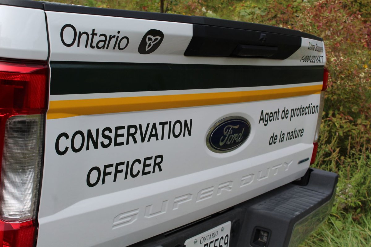 The Ministry of Natural Resources and Forestry says a hunter pleaded guilty to careless use of a firearm following an incident in Selwyn Township in November 2020.