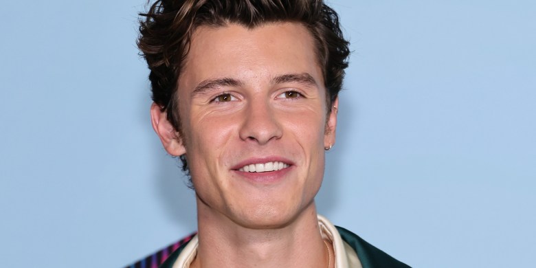 Shawn Mendes Makes ‘Family Guy’ Cameo As Himself