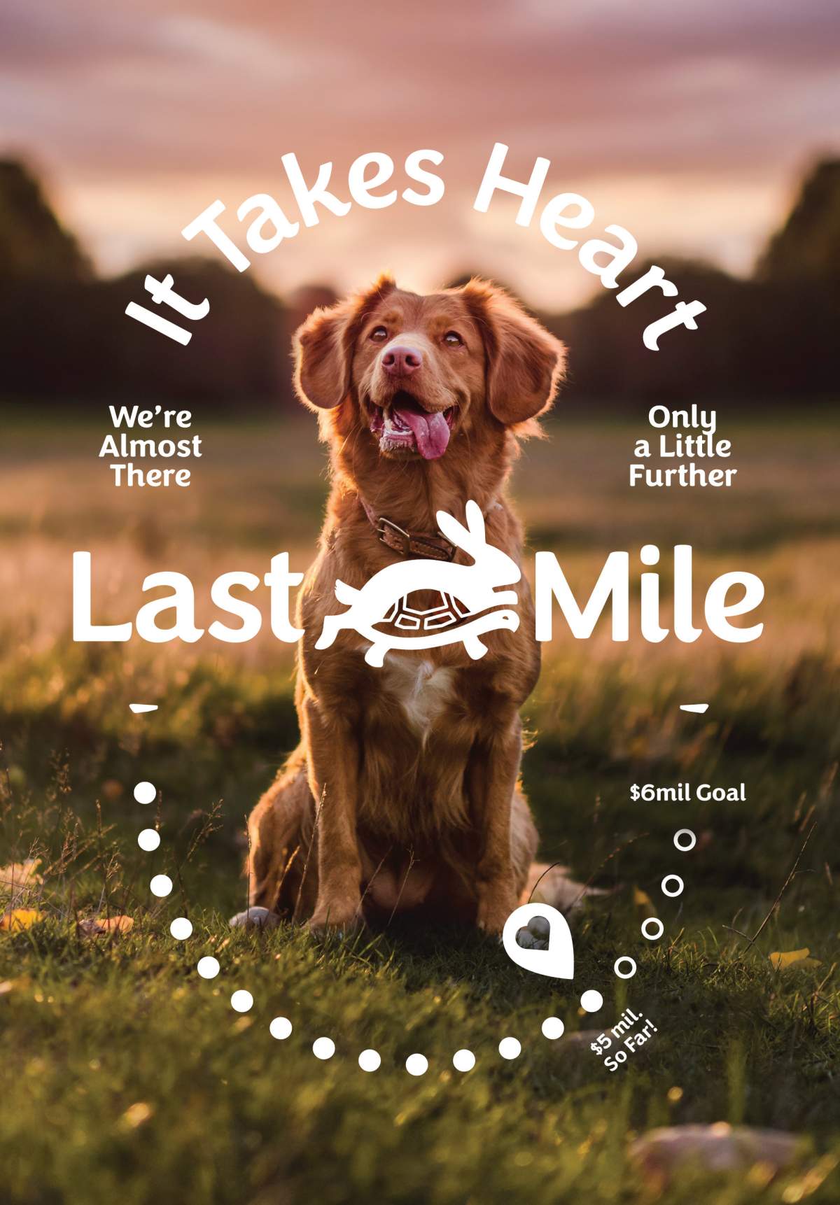 An anonymous donor says it will match all donations up to a total of $100,000 to the Humane Society Hastings Prince Edward.