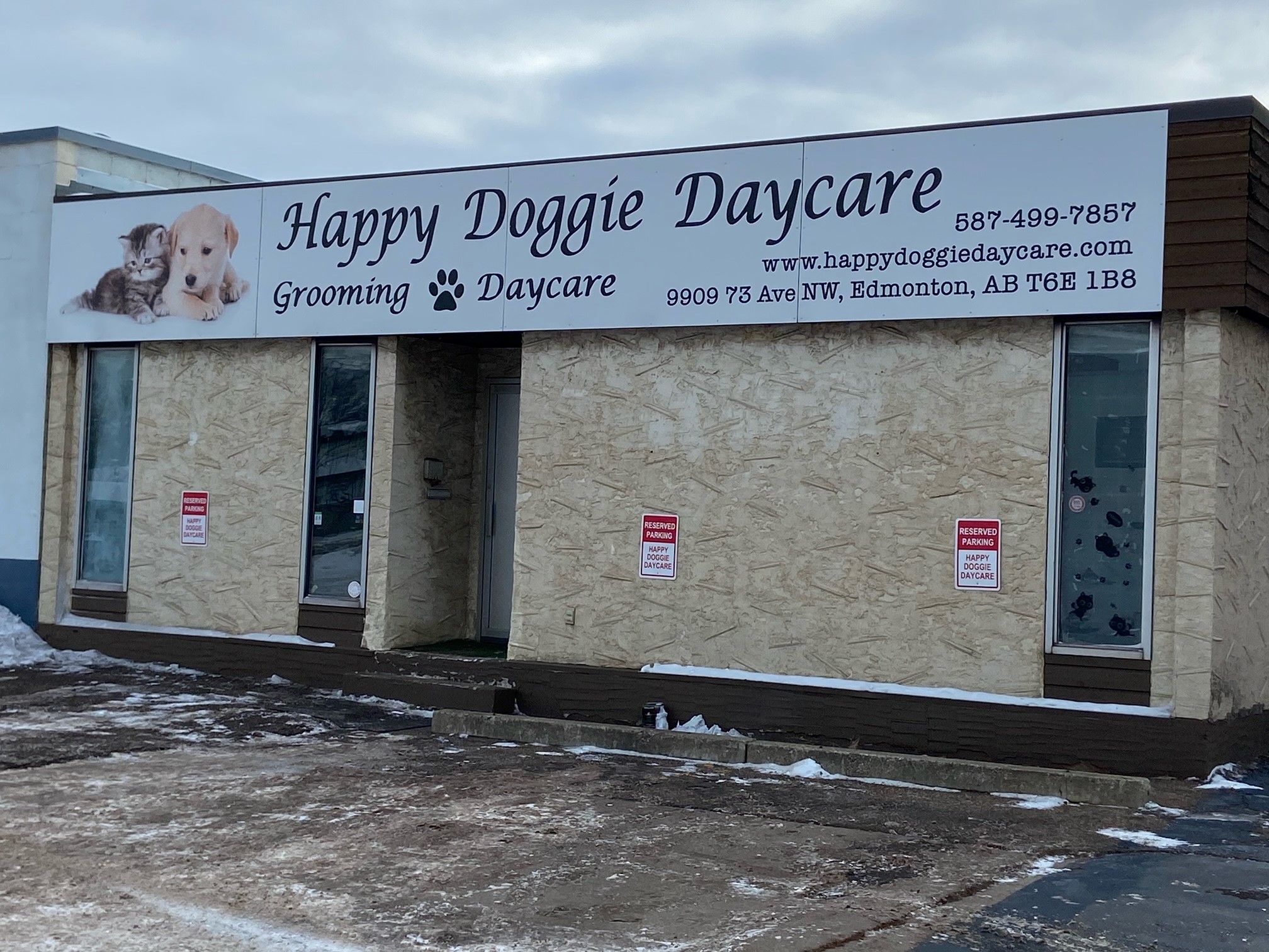 Pets Seized From South Edmonton Doggy Daycare Under Animal Protection   Happy Doggie Daycare 