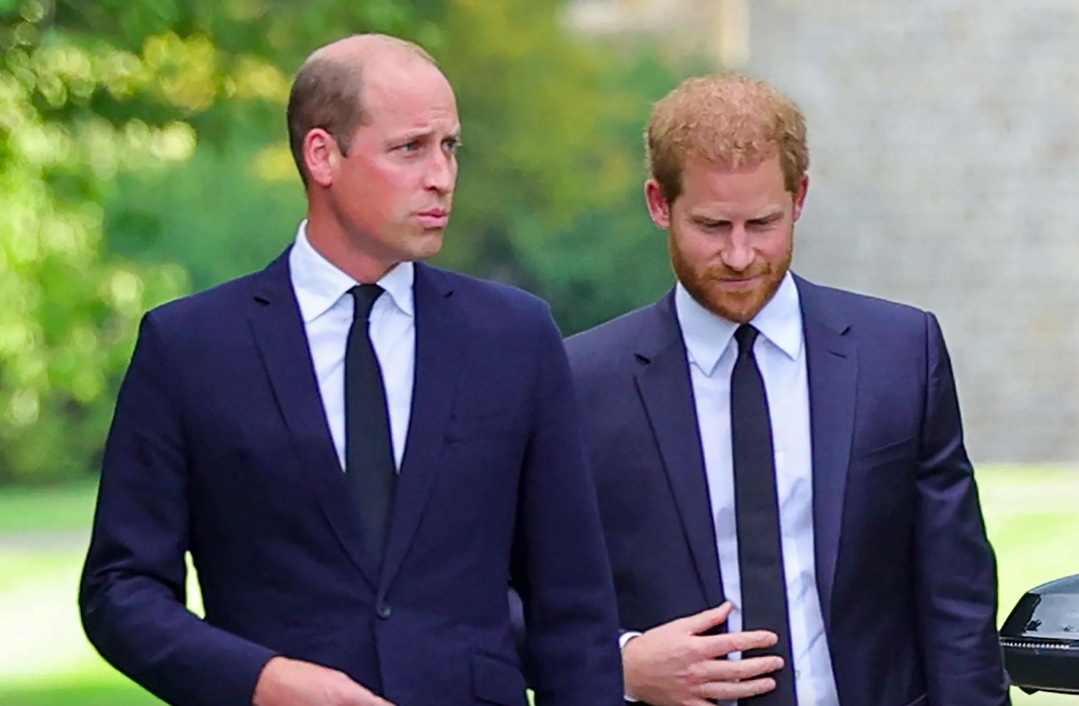 Prince William and Prince Harry.