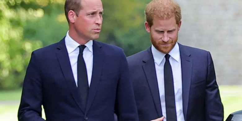 Prince William Still Protective Of Harry Despite Documentary Backlash