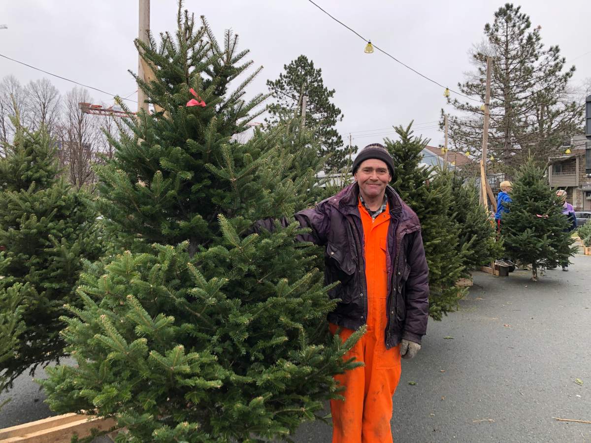 Lloyd Smith, owner of Smith's Christmas Trees