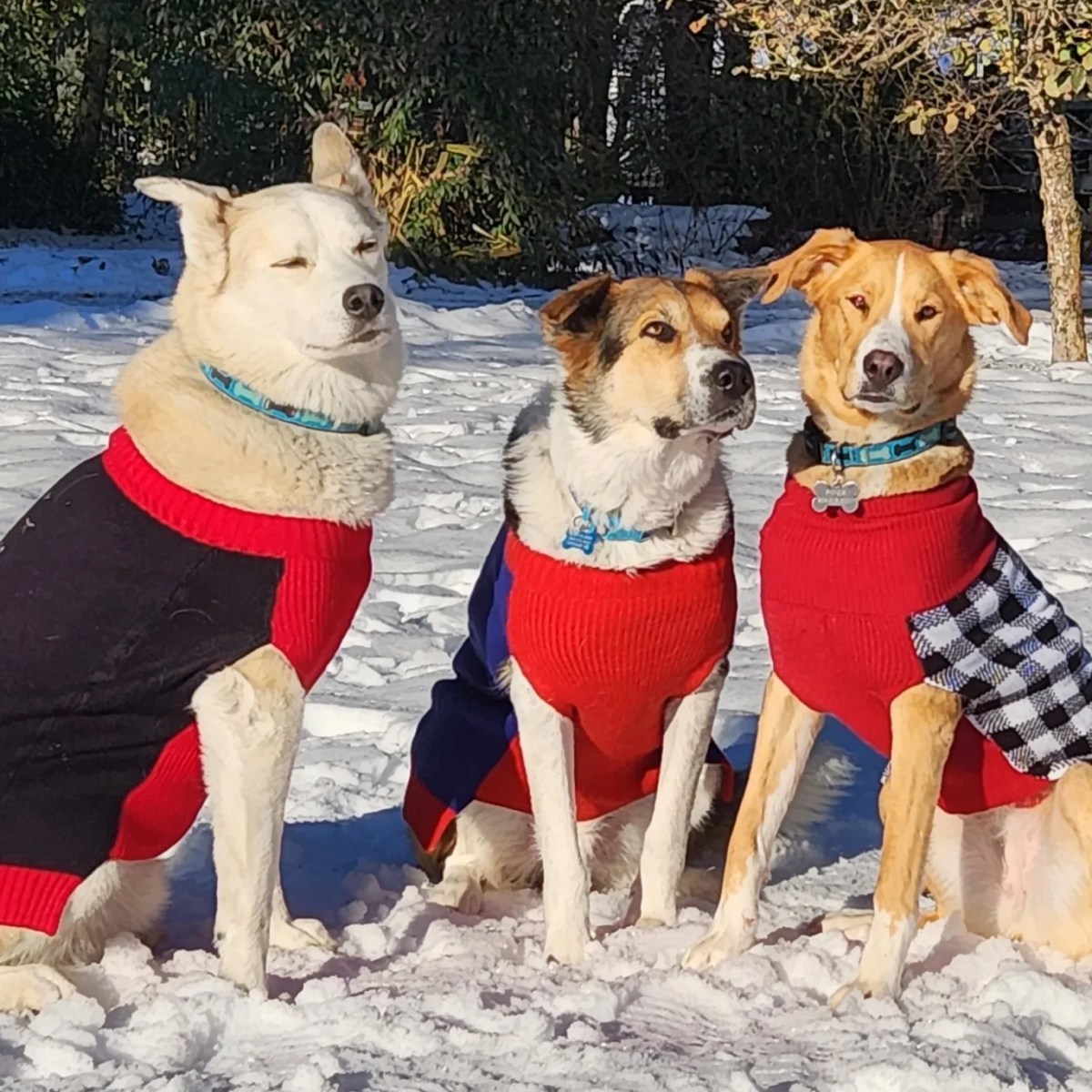 — Celeste Curran, Langley, B.C.