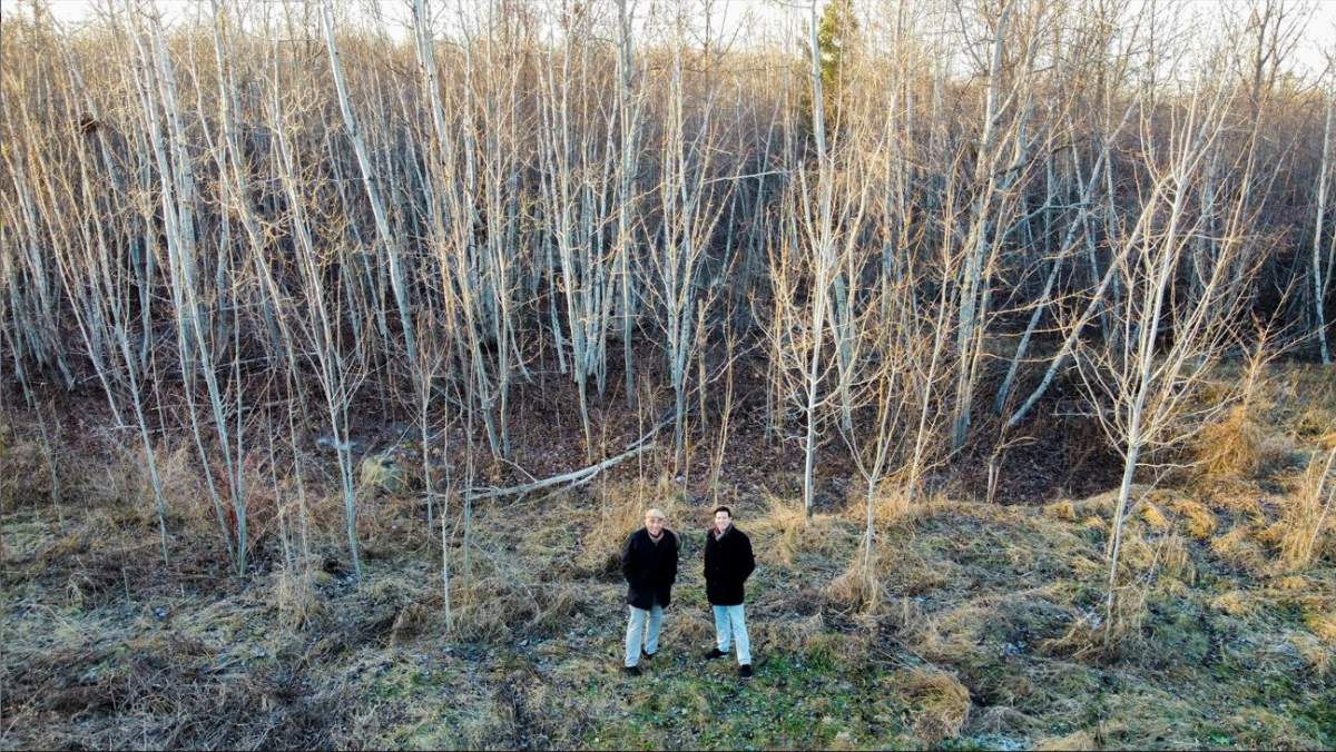 Laval MNA Christopher Skeete and Laval Mayor Stéphane Boyer stand in front of the wetlands known as Ruisseau Barbe.