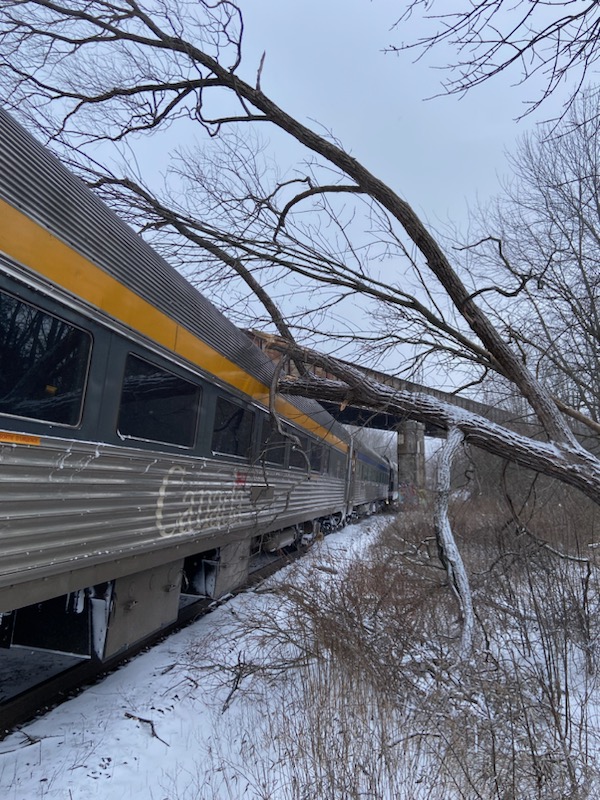 A tree branch has fallen onto a Via Rail trian near Cobourg, Ont. (Provided)