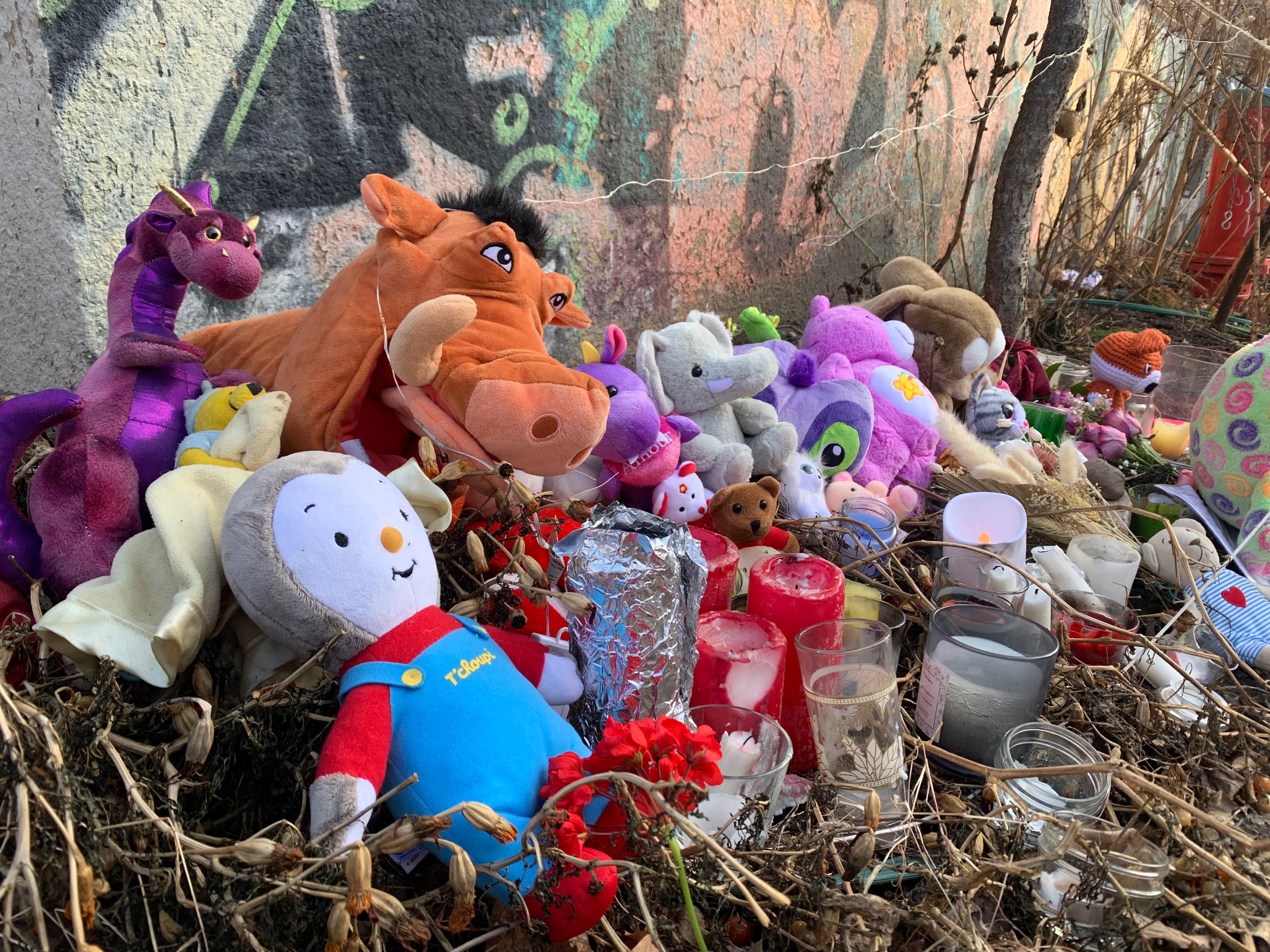 Шофьорът който блъсна смъртоносно млад украински бежанец в Монреал през