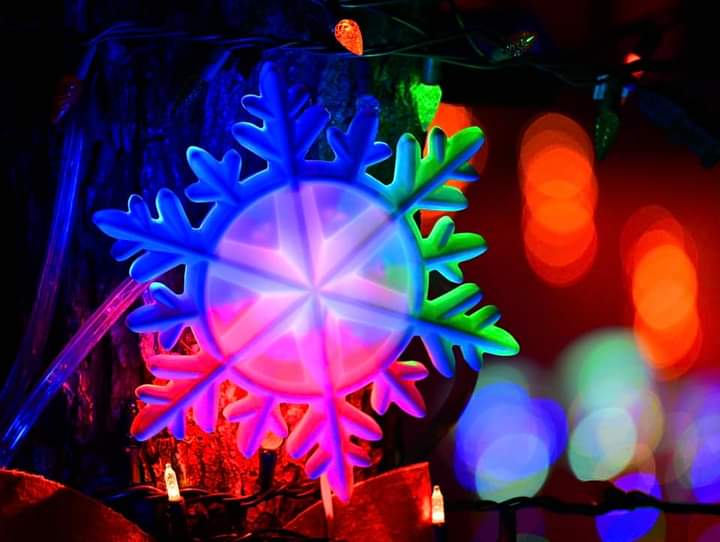 Your Saskatchewan photo of the day: December 2022  | 24CA News