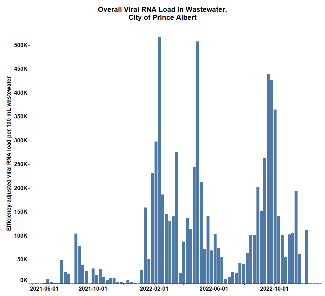 The overall viral load found in the wastewater in Prince Albert.