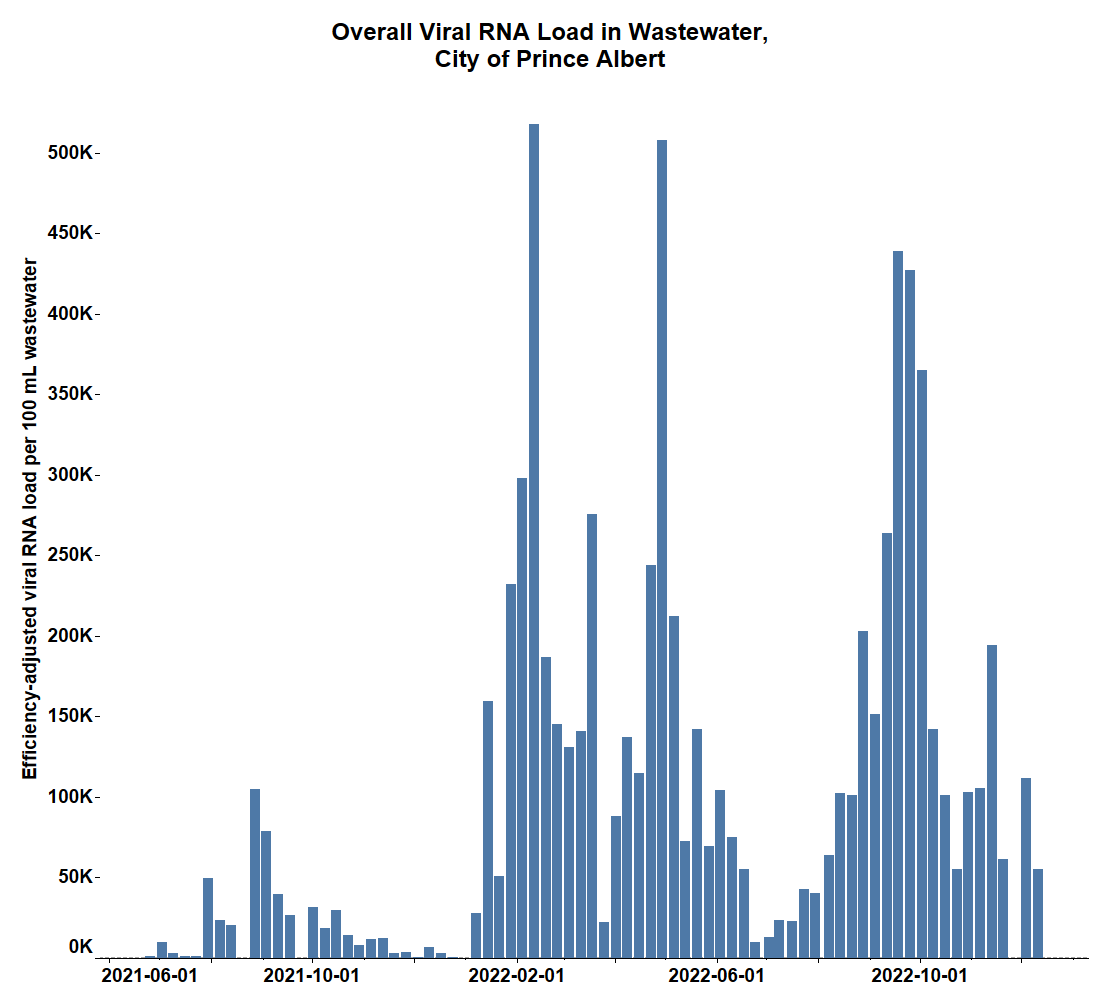 The overall viral load found in the wastewater in Prince Albert.
