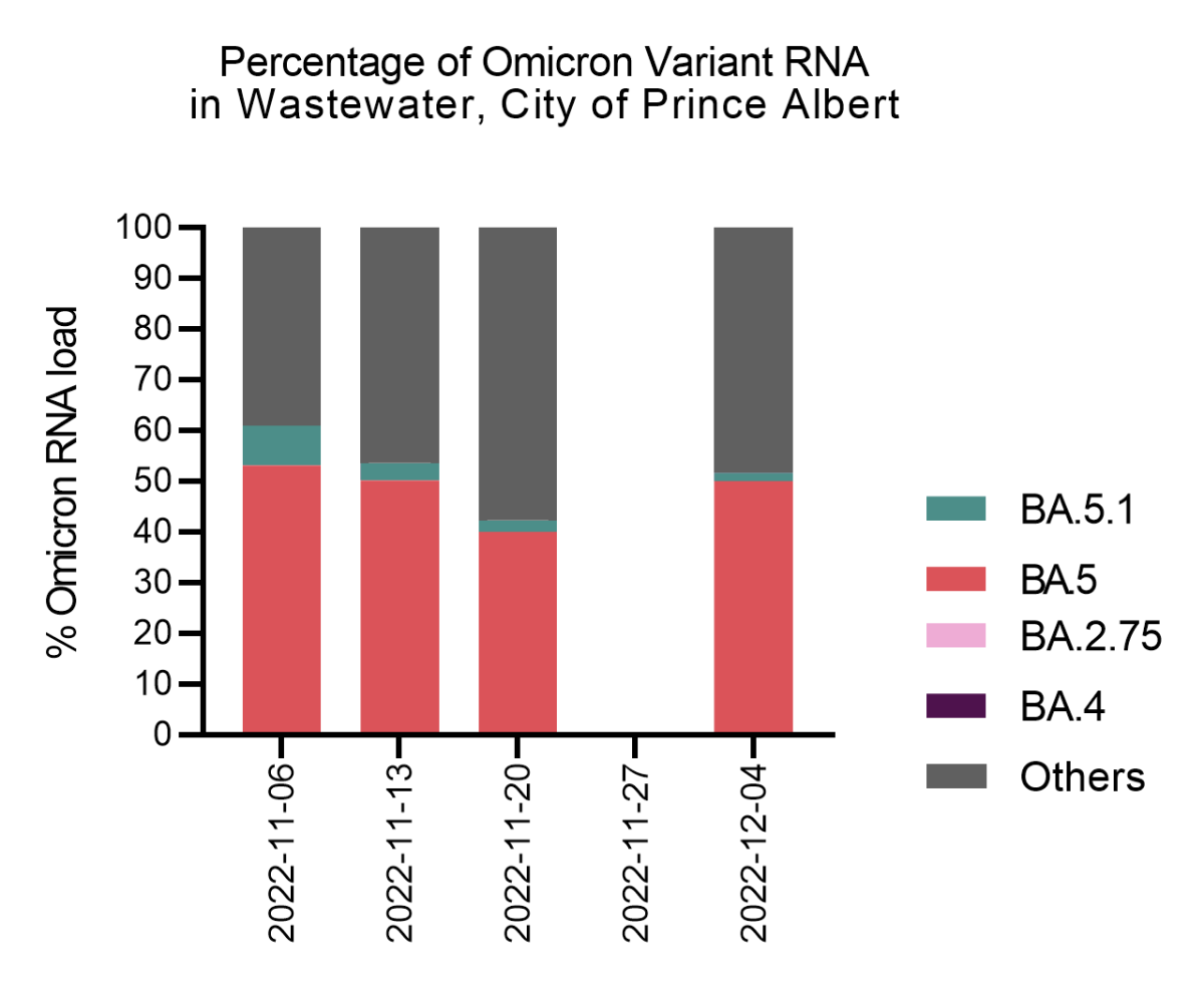 Percentage of Omicron variant RNA found in the wastewater in Prince Albert.