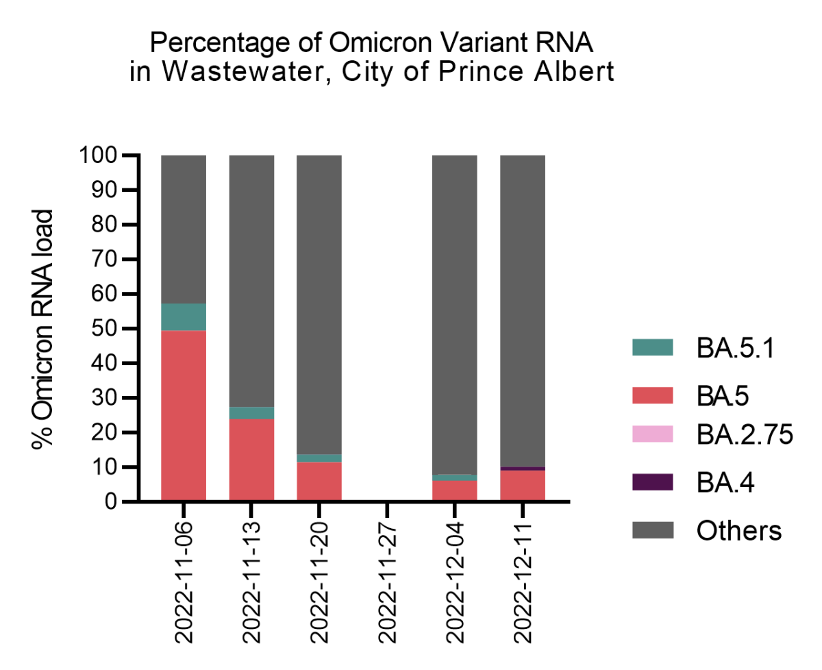 The percentage of Omicron variant RNA found in the wastewater in Prince Albert.
