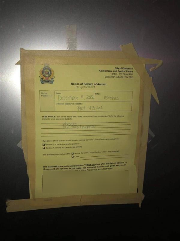 Four cats and 17 dogs and puppies were seized under the Alberta Animal Protection Act from Happy Doggie Daycare ( 9909 73 Ave.) in south Edmonton by City of Edmonton Animal Care and Control peace officers on Dec. 9, 2022.
