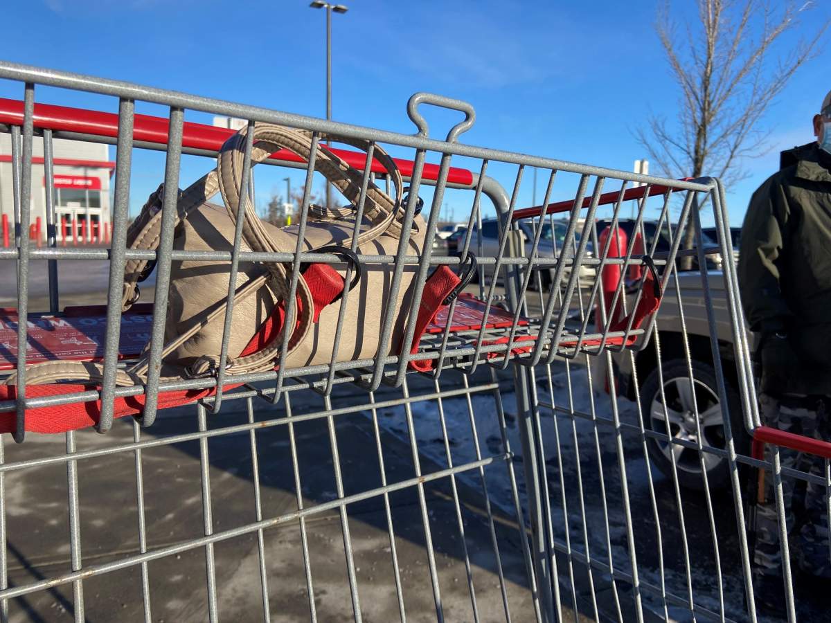 Shelley Bainto’s purse was left in her shopping cart.