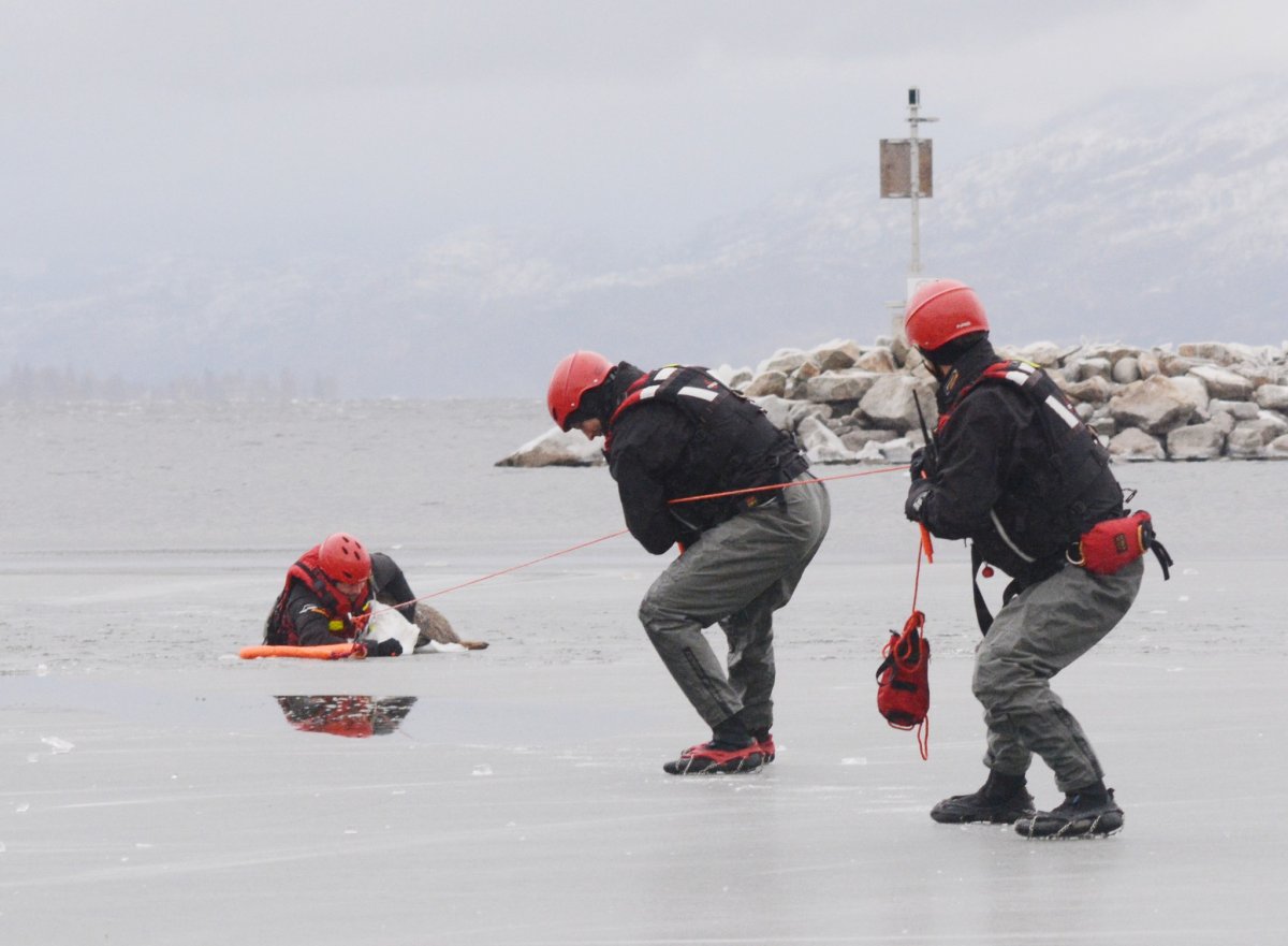 Penticton firefighters rescue deer from Okanagan Lake - image