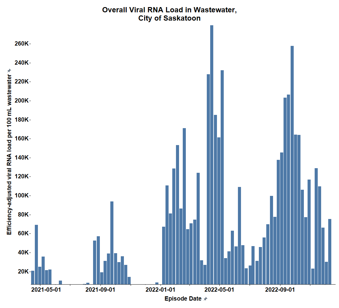The overall viral RNA load found in the wastewater in Saskatoon.