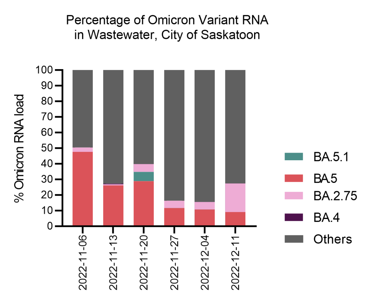 The percentage of Omicron variant RNA found in the wastewater in Saskatoon.