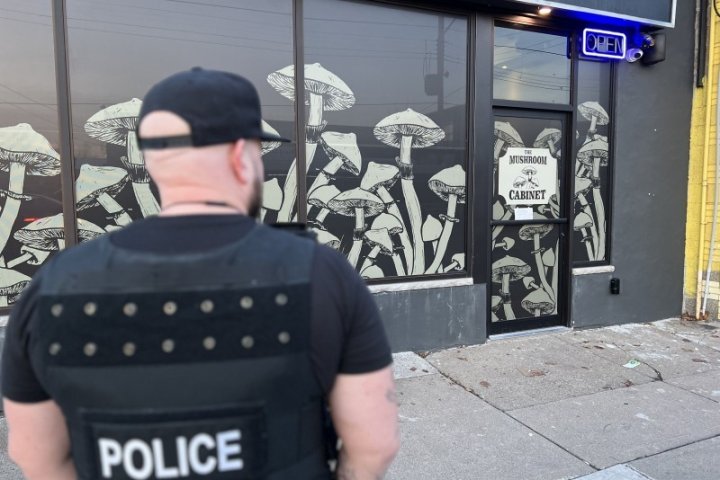 Hamilton Police shut down magic mushroom shop within hours of doors opening