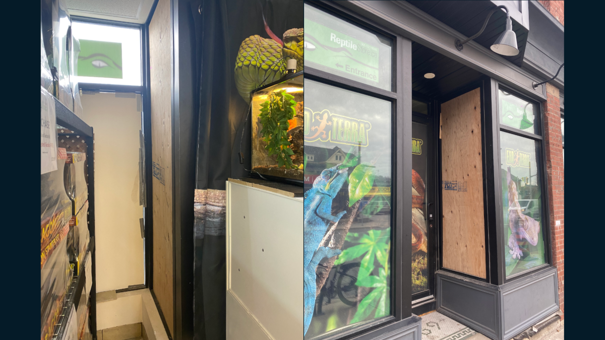 The Reptile Store’s Jeff Reynolds told Global News the theft appeared to be “targeted” since the accused broke a window and “punched out” a lock on the snake’s enclosure.