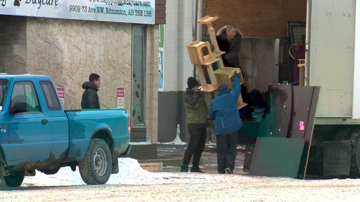 Pet furniture being taken away from Happy Doggie Daycare ( 9909 73 Ave.) in south Edmonton on Monday, Dec. 12, 2022.