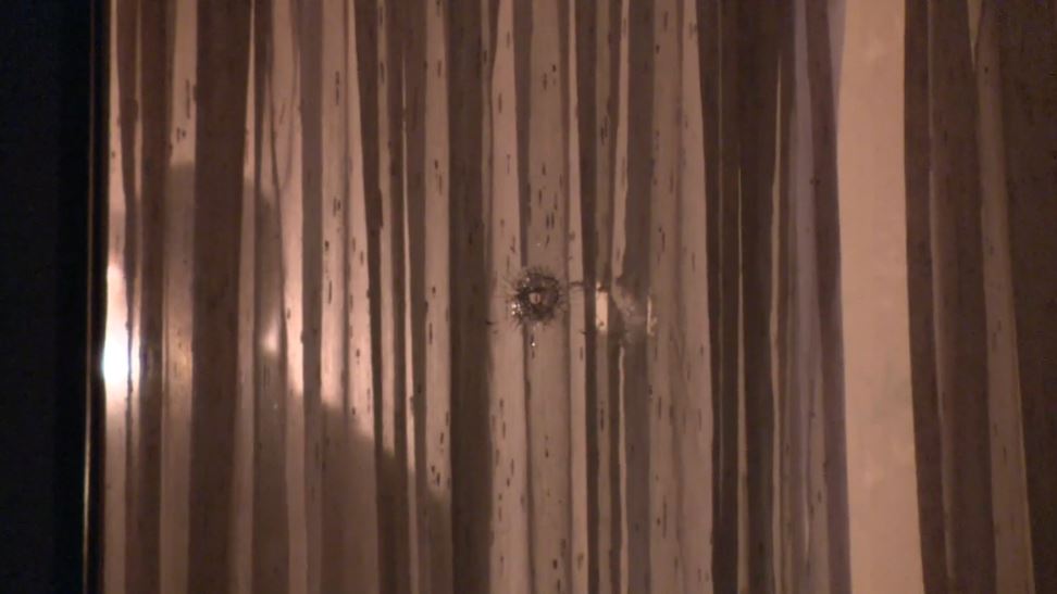 Apparent bullet holes were seen in the window of the home.