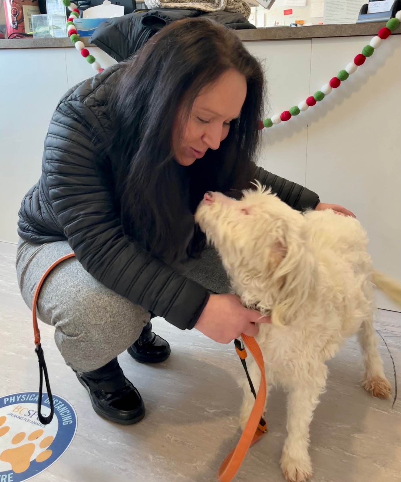 Are Blind And Deaf Dogs Happy