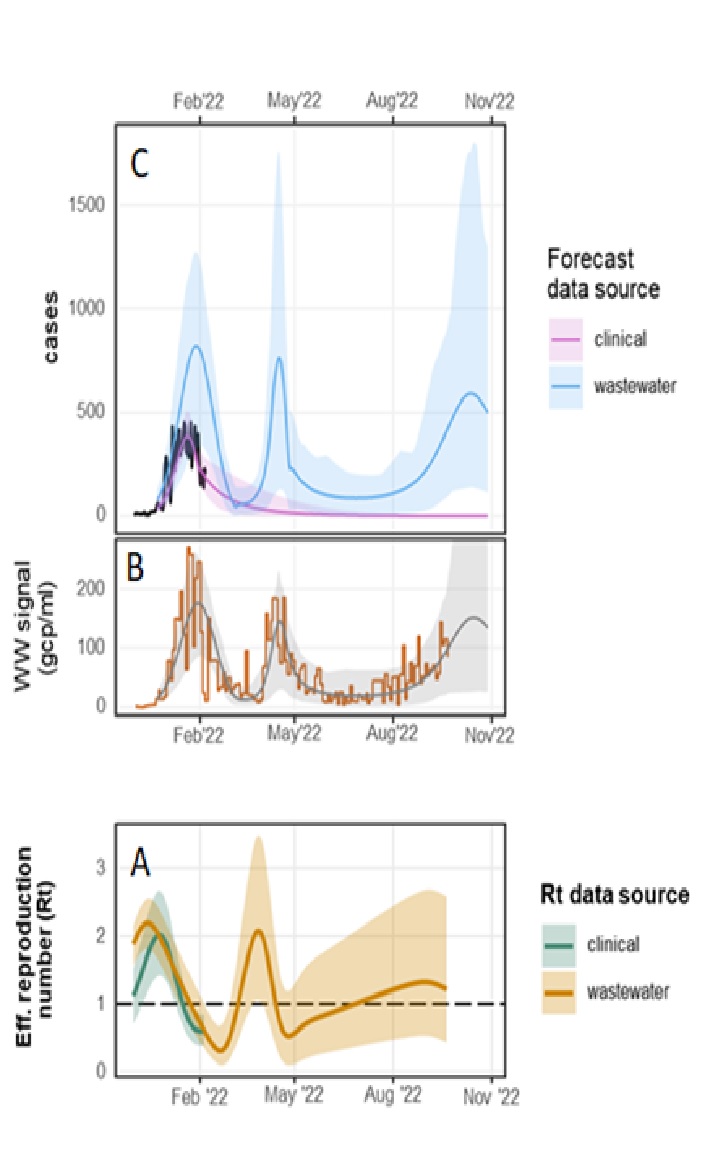A chart from a draft manuscript Giesy is co-authoring. Chart A shows the rate at which the virus is infecting people. An Rt value of 1 or more means the virus is spreading. Chart B shows the amount of detected SARS-CoV-2 in Saskatoon’s wastewater in orange with the average in green. Chart C displays the number of people hospitalized in black, the wastewater viral loads in blue and the predicted amount of hospital beds full of COVID patients in pink. The predicted level of patients fell to zero because researchers no longer had data.The shaded areas represent the area where researchers believe future values could have fallen. Giesy said they could have made more confident predictions if they had better data.