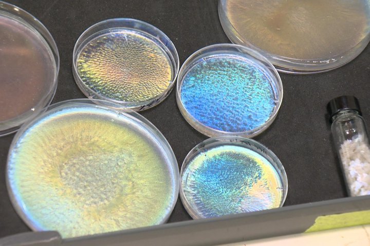 USask researchers create biodegradable glitter to address microplastics