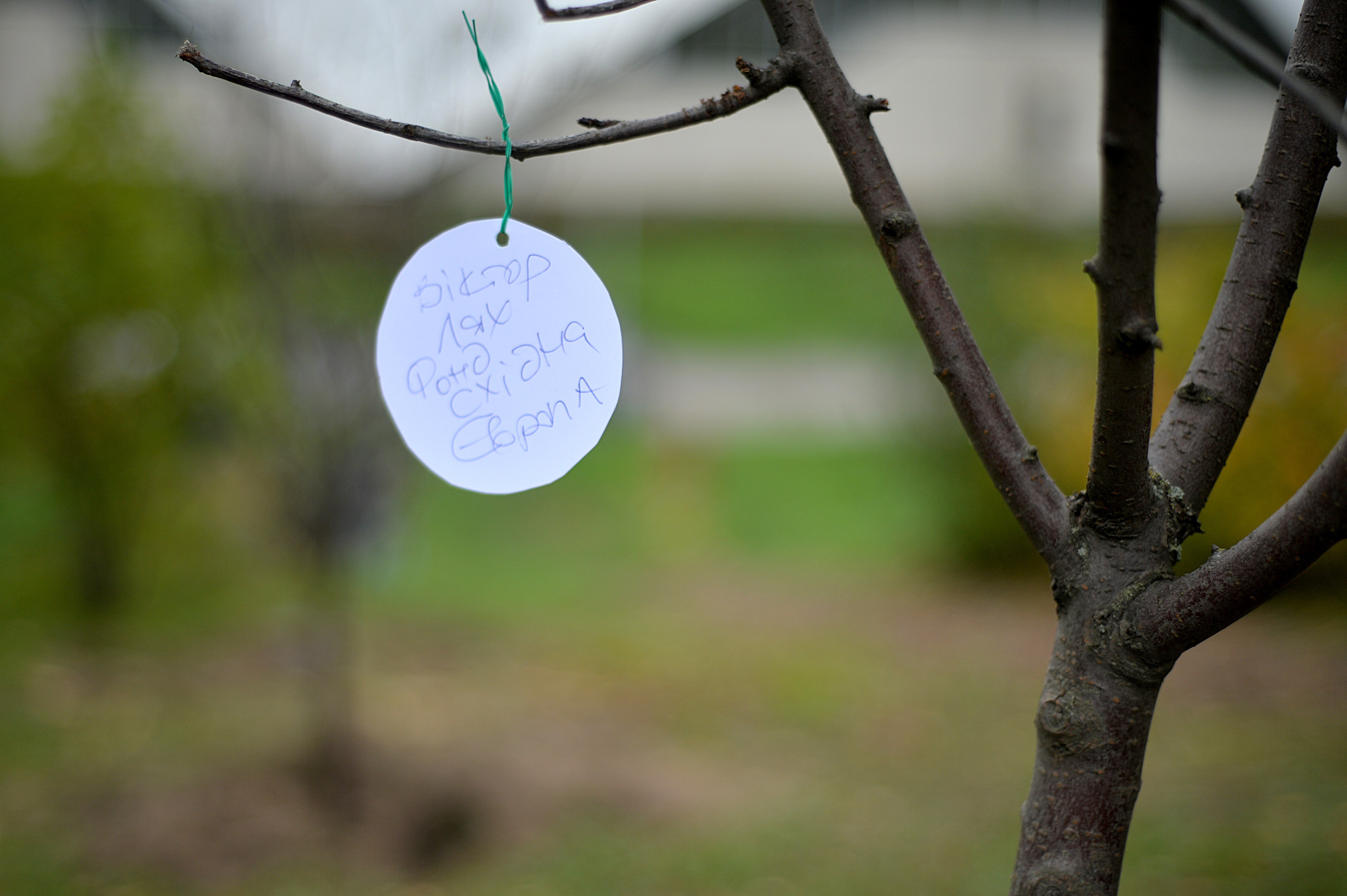 The struggle to save the plants of Kyiv’s Botanical Garden: ‘Great national loss’ – National | 24CA News