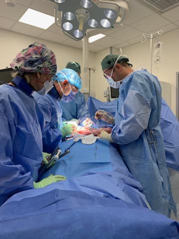 Some of the medical team working in Ukraine to help treat and heal the wounded soldiers and civilians.