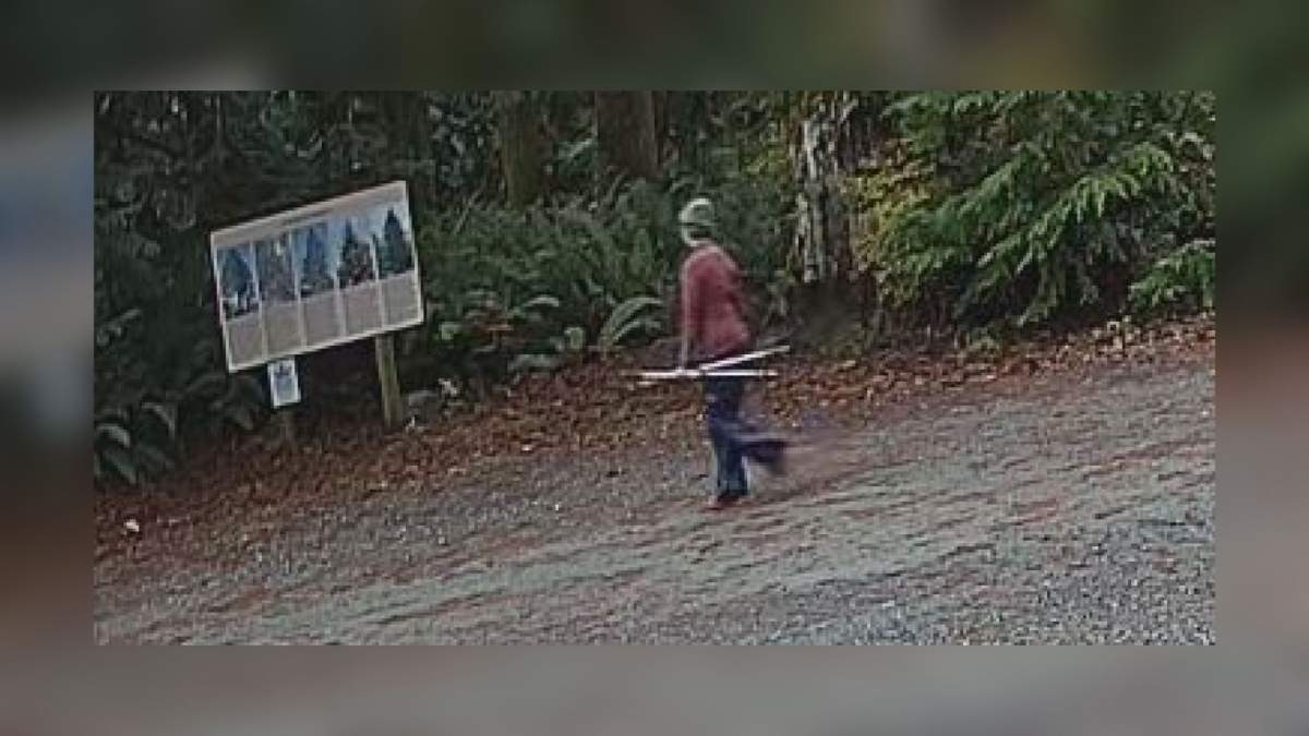 A CCTV camera caught McDevitt walking into a trail on Dec. 9.