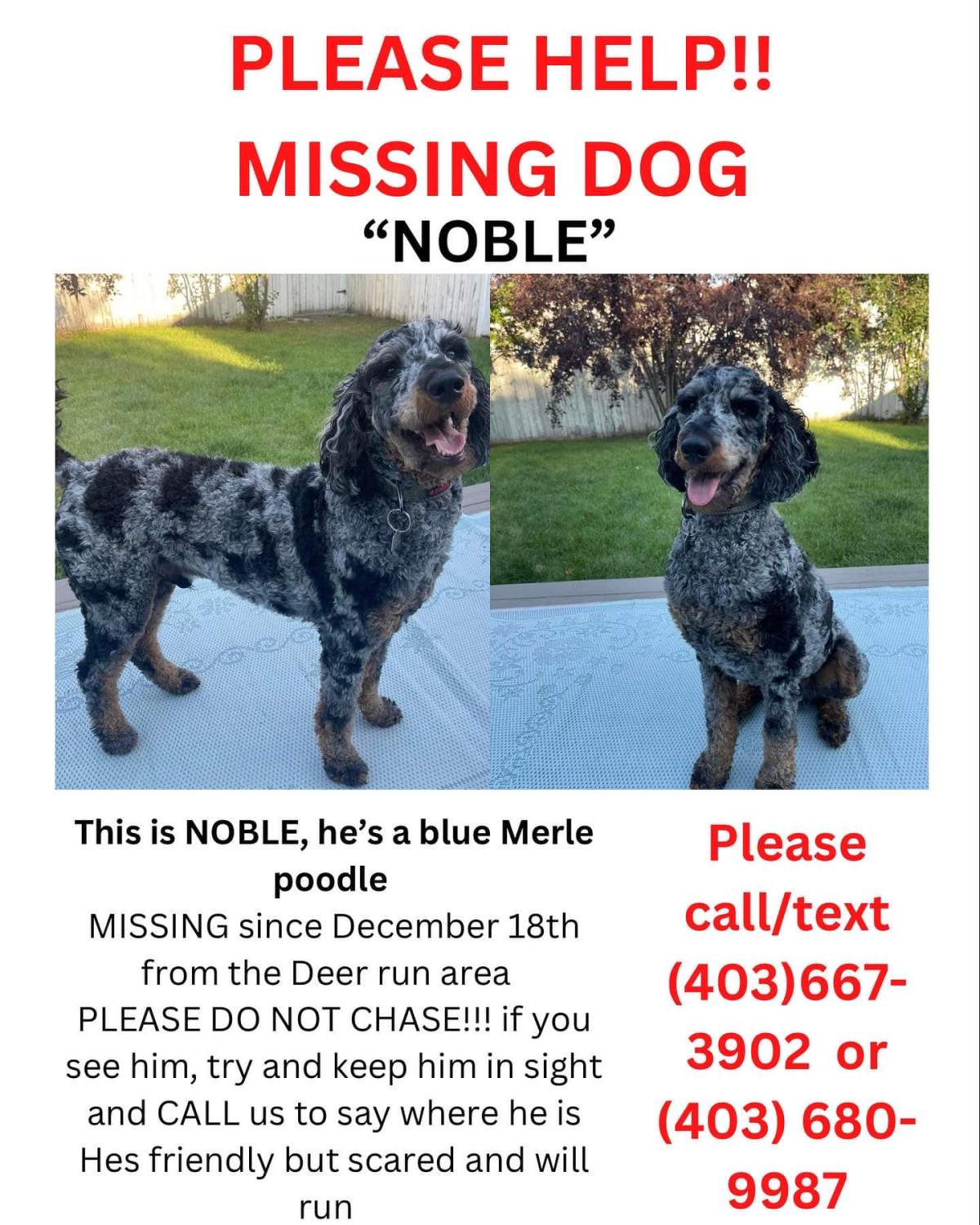 Missing poster for Noble.