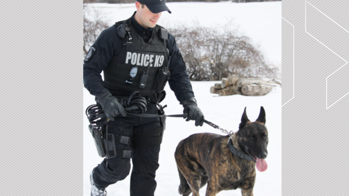 Peterborough police service Dog Gryphon with handler Const. Dillon Wentworth.