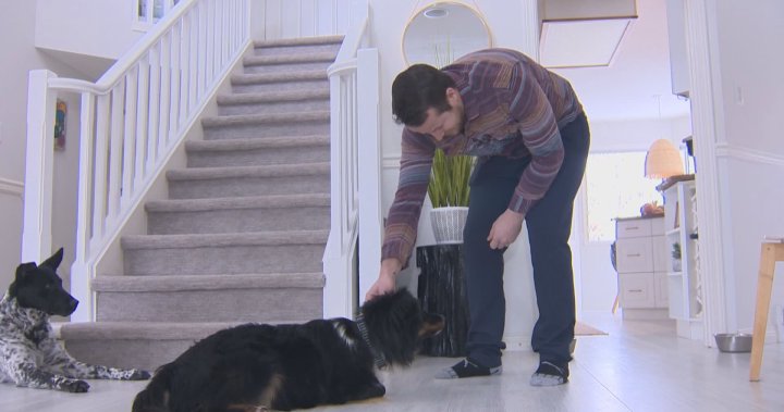 Okanagan dog missing for five months returns home