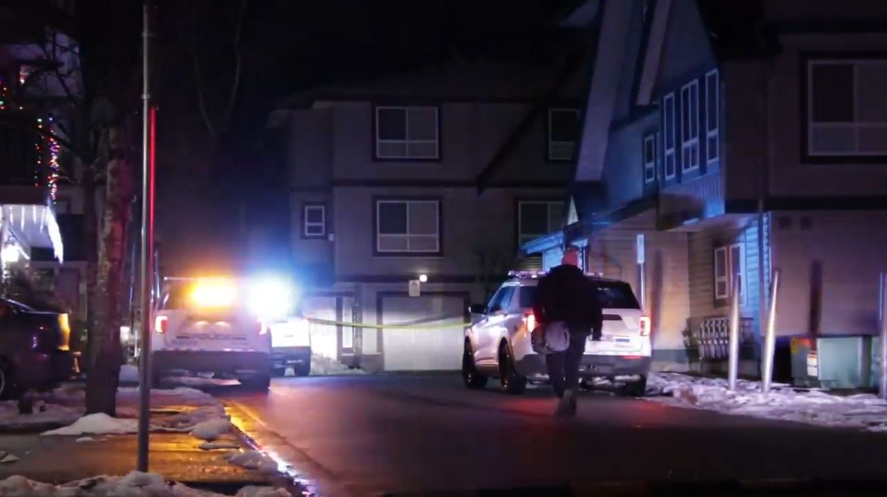 One arrested after woman fatally stabbed at Surrey, B.C. home - BC |  Globalnews.ca