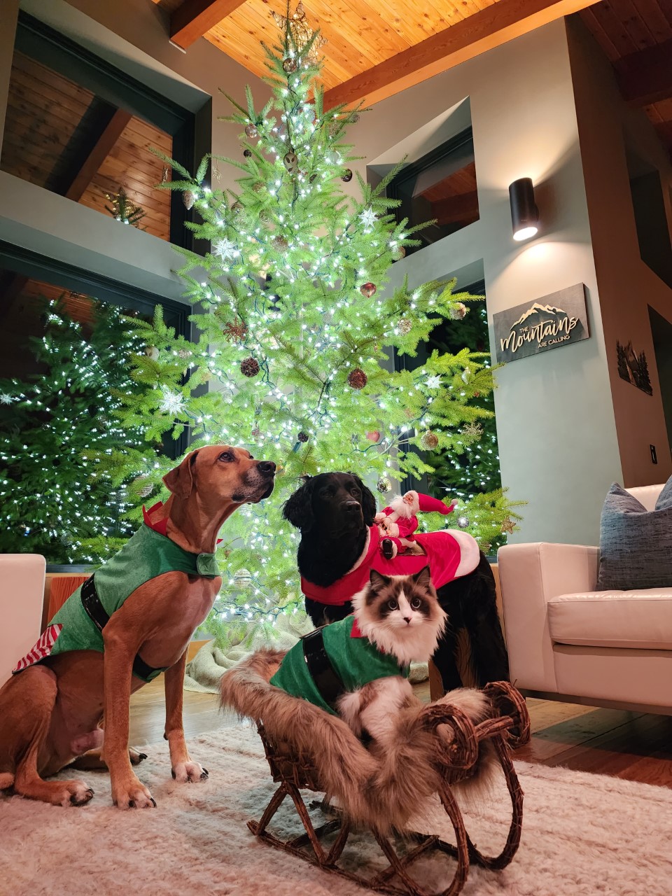 — Carrie Borland, Comox Valley, B.C.