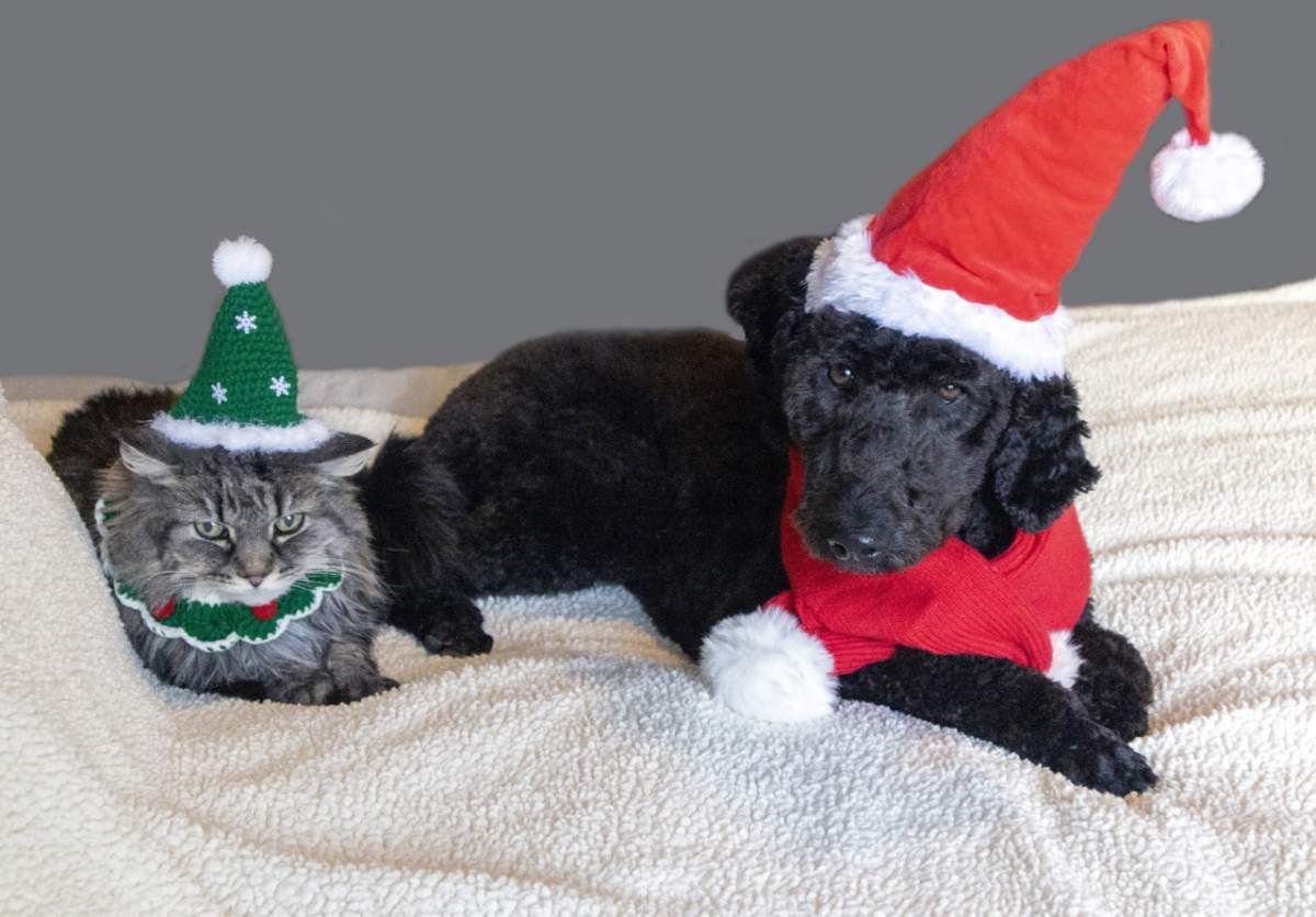 — Cathy Wall, Regina