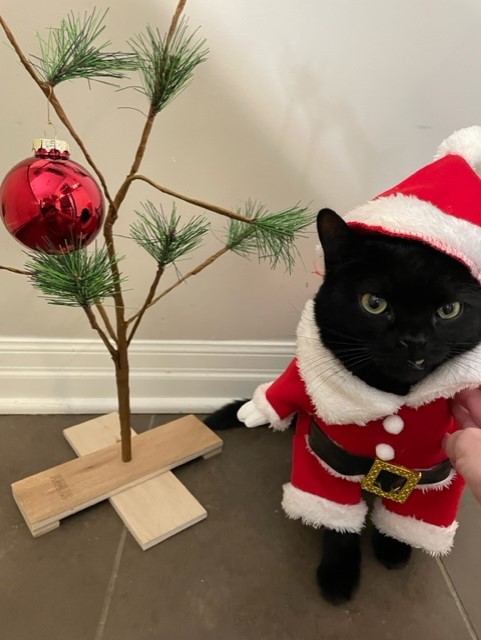 — Leanne Chapman, London, Ont.