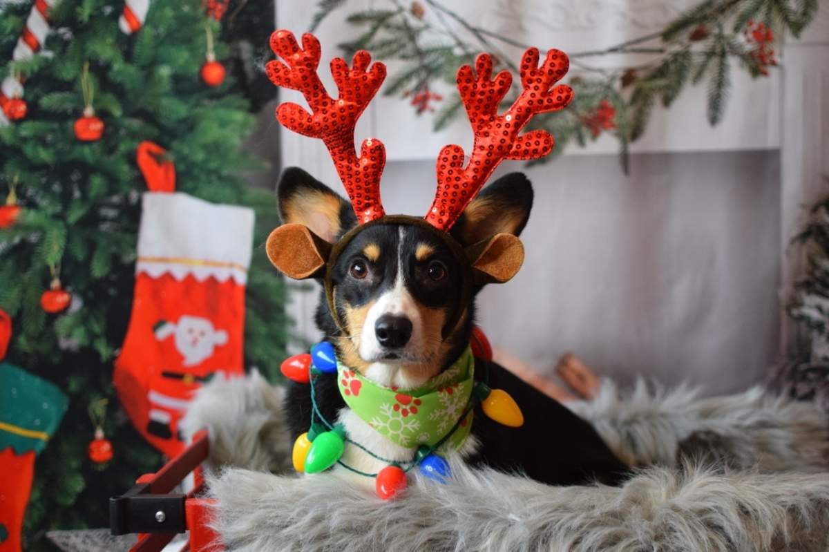 — Sandra Dessau, Kamloops, B.C.